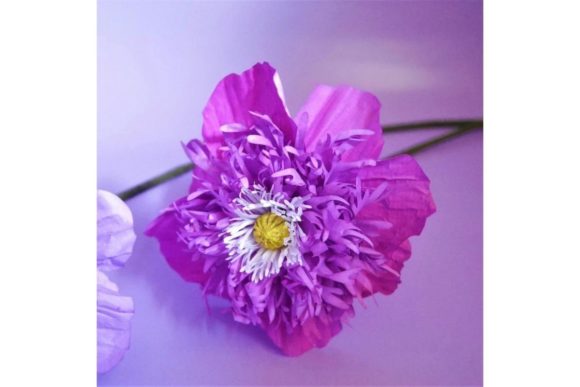 Sugar Plum Poppy 3D SVG for Paper Flowers